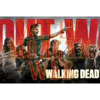 Walking dead 13 Walking dead 13